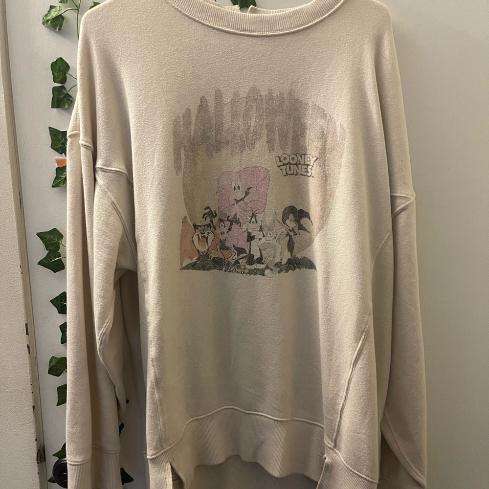 Aerie Looney Tunes Halloween Crewneck